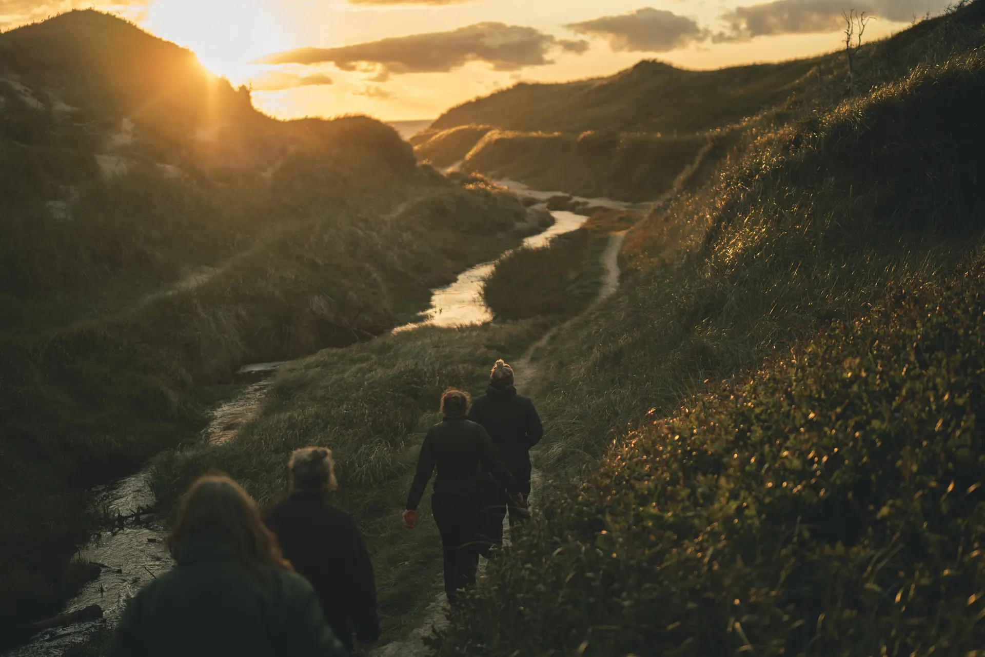 Sti gennem klitter ved solnedgang